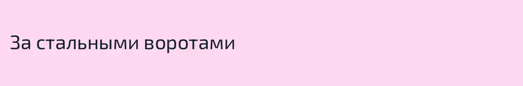 За стальными воротами